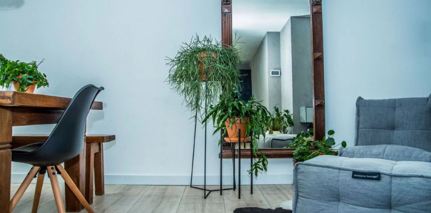 beautiful and modern small living room set up with ambient lounge modular set